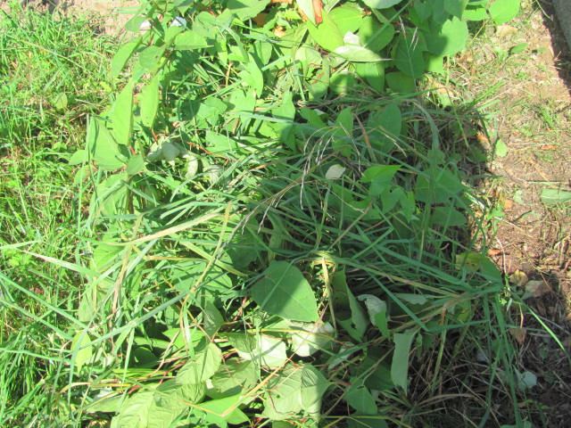 Artur Furman 1972 Racławice - Grobonet - Wyszukiwarka osób pochowanych